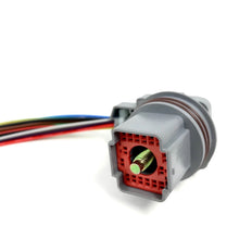Load image into Gallery viewer, 5R55W 5R55S Transmission Wiring Harness Pigtail Repair Kit 2002 and Up fits Ford